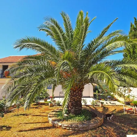 Fuer 4 Personen Ca 25 Qm In Fazana, Istrien Istrische Riviera Apartment